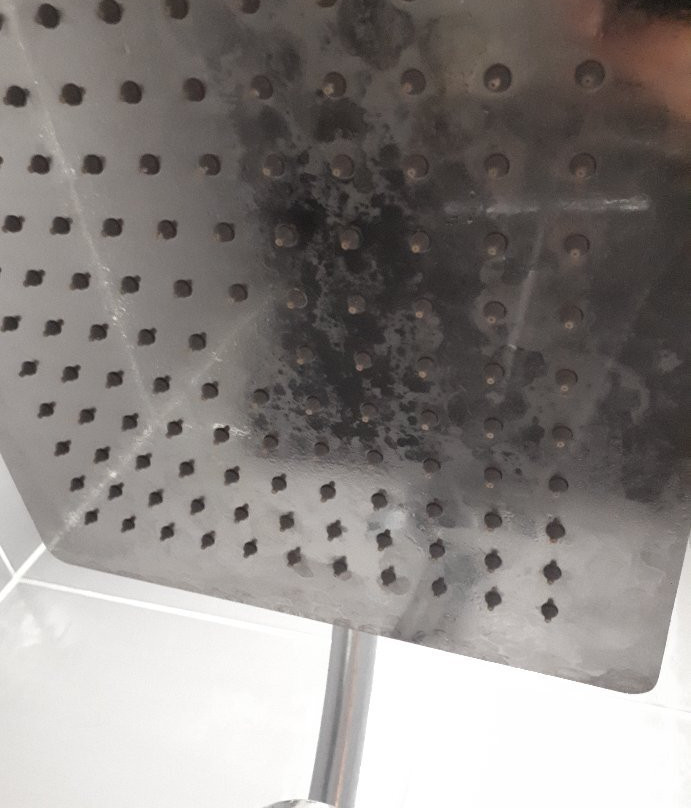 国际之家终点站主图