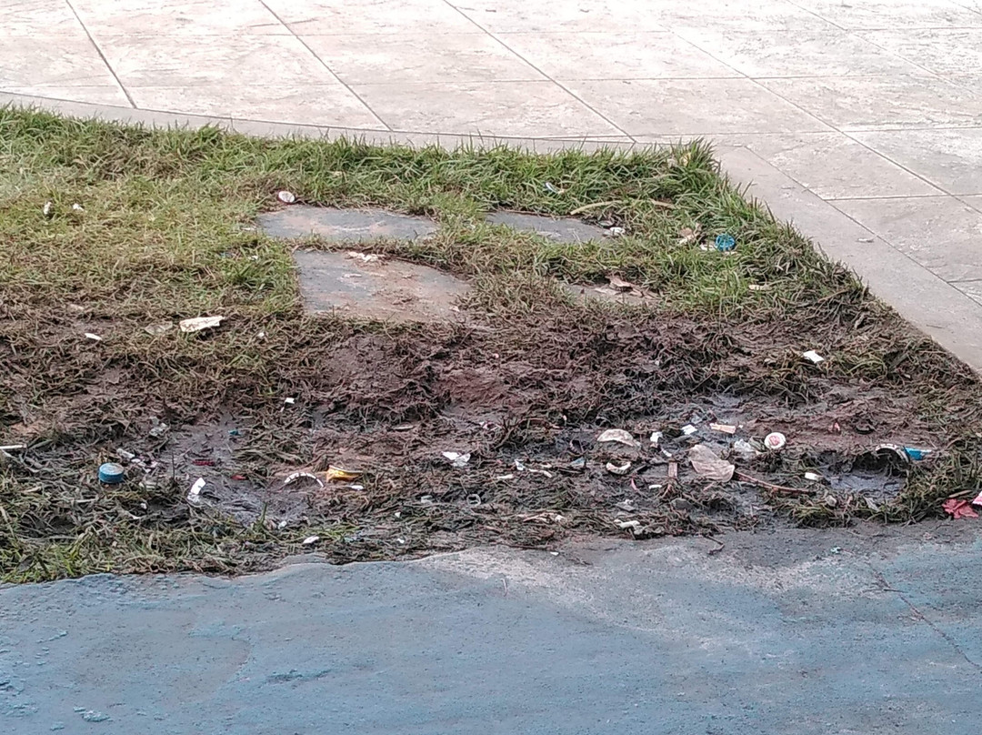 Hotel Gold Martan主图