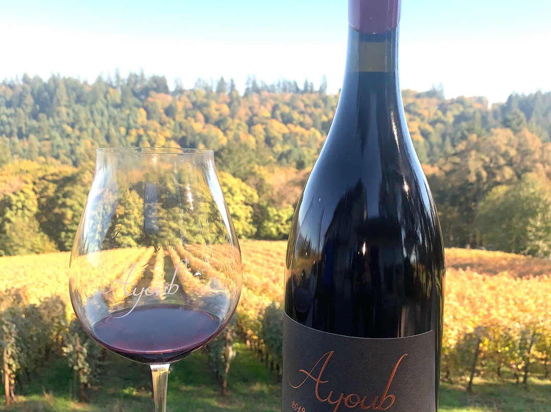 Ayoub Wines-Dundee必去景点