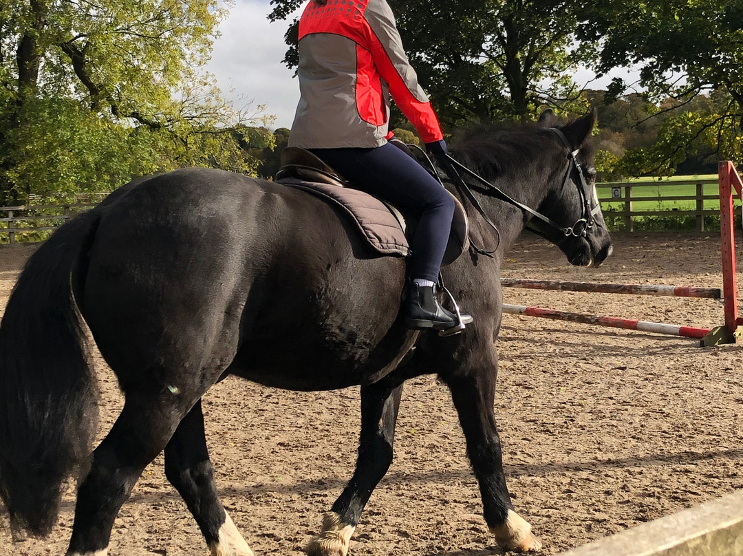 Croxteth Park Riding Centre-利物浦必去景点