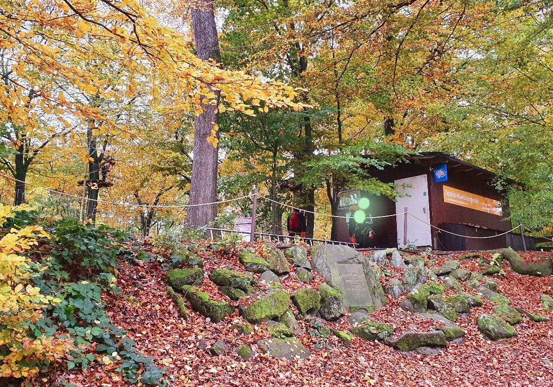Kletterpark Detmold景点图片