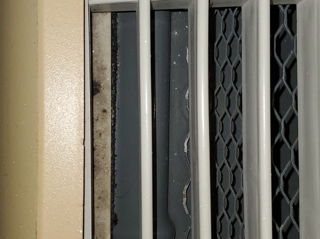 Best Western Plus Bradford Inn主图