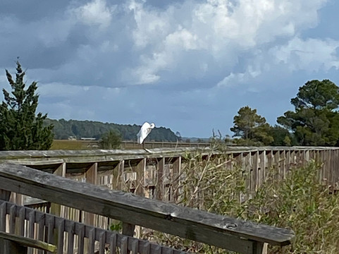 Heritage Shores Nature Preserve-美特尔海滩必去景点