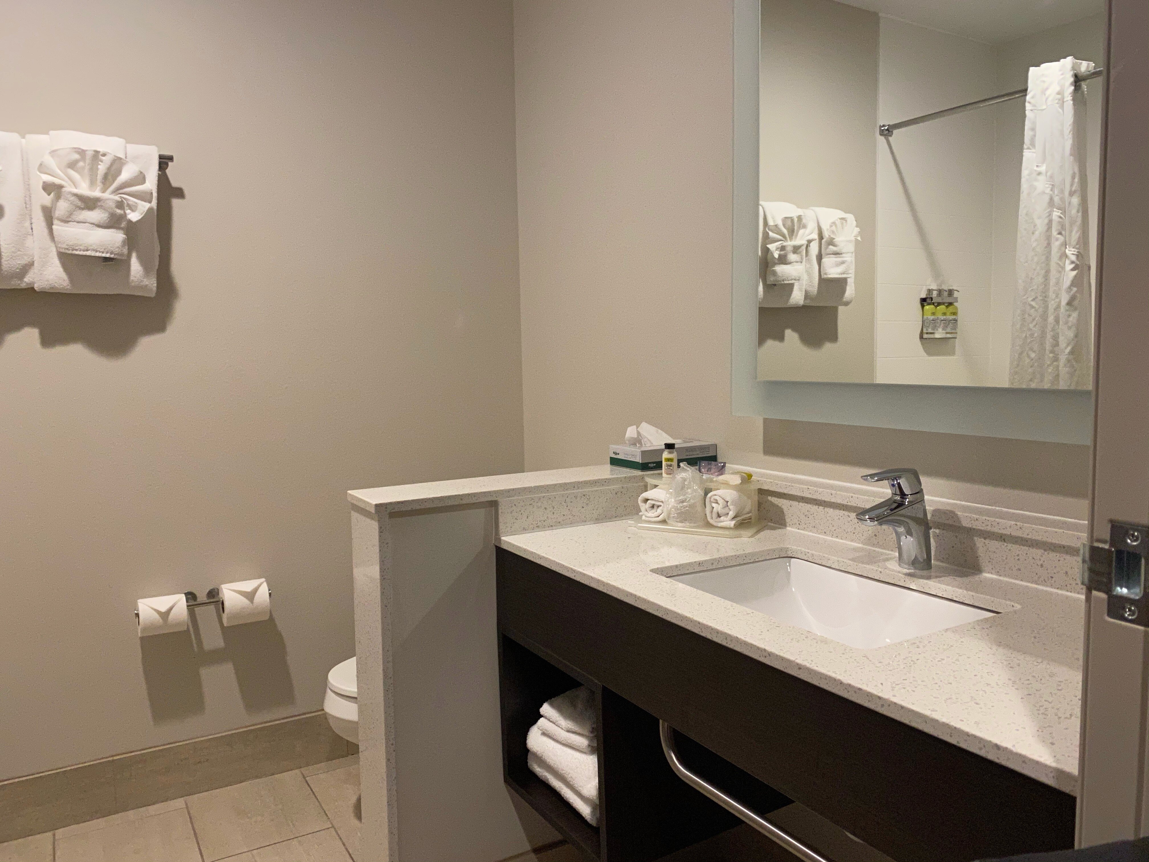 Holiday Inn Express & Suites Parkersburg East By IHG-浴室