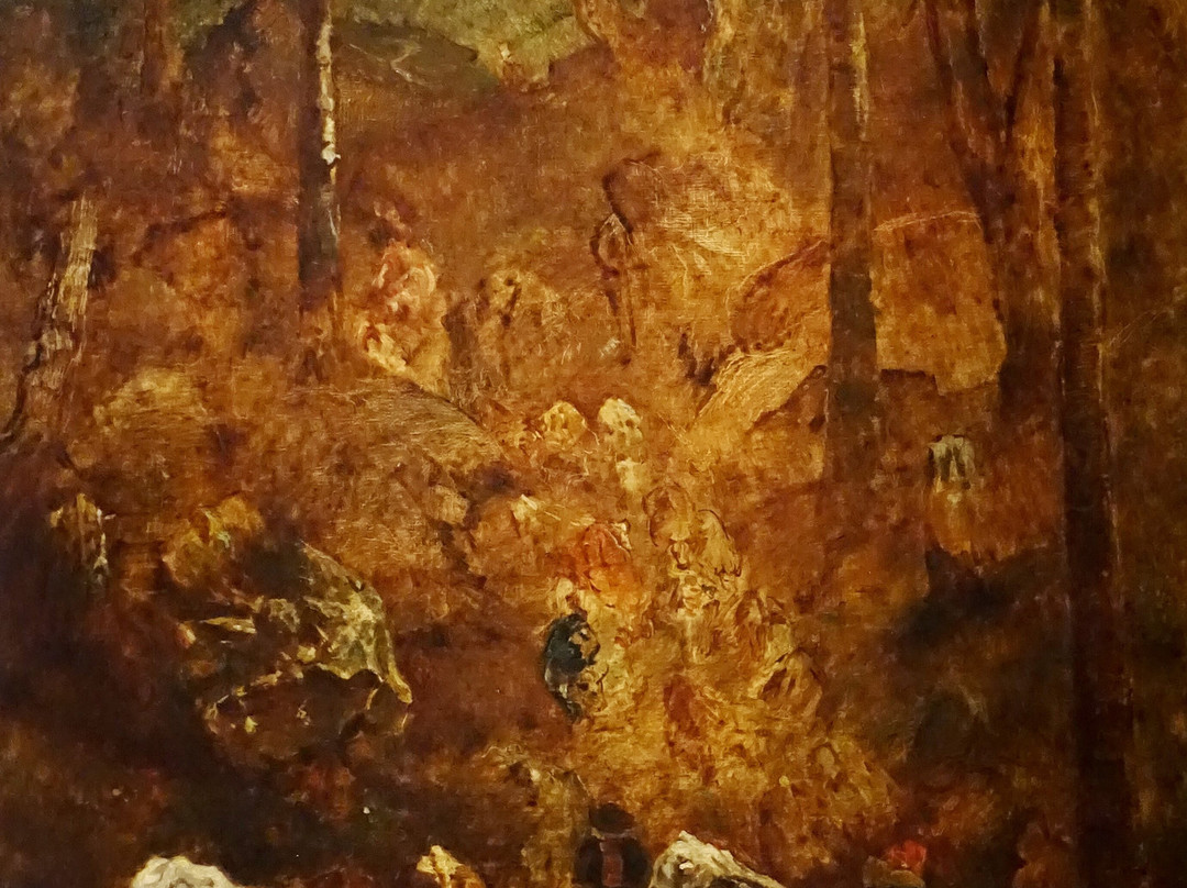 Musée De Picardie景点图片