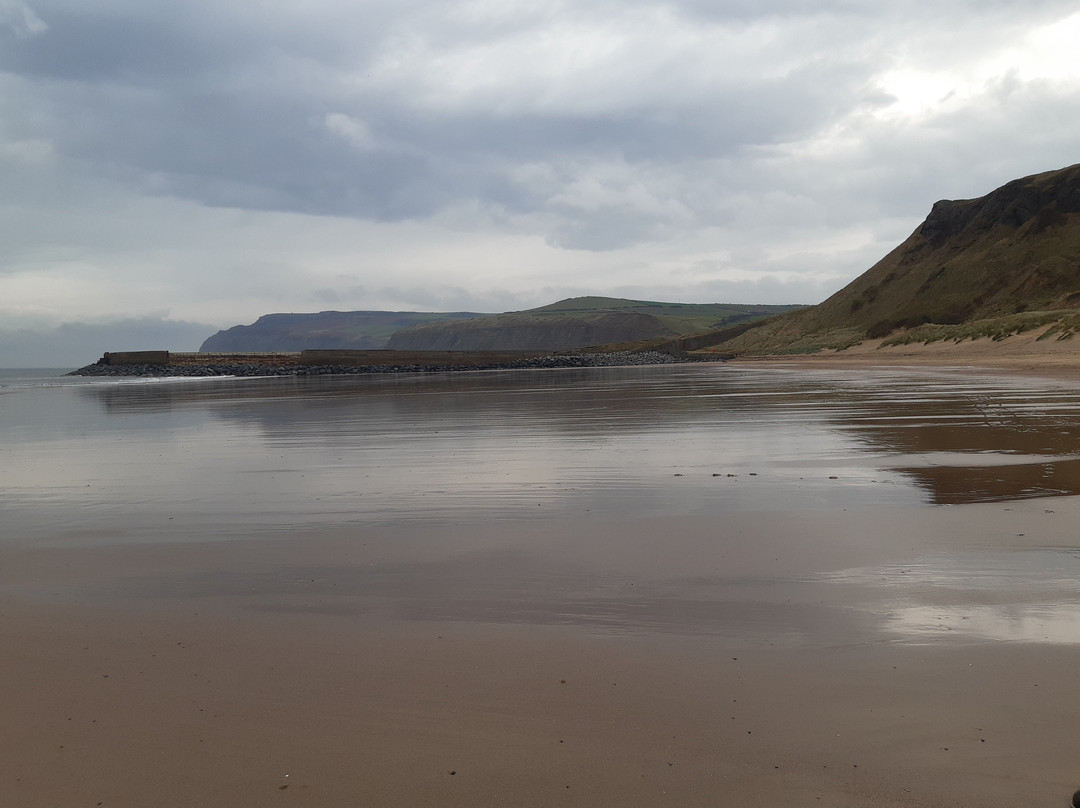 Cattersty Sands Beach景点图片