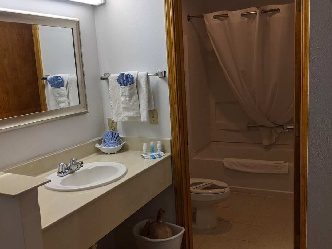 Oasis Botique Motel主图