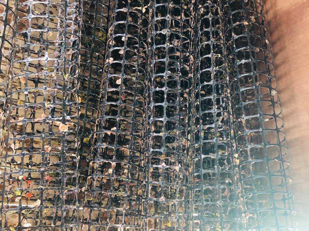 Les Perles D'Havaiki景点图片