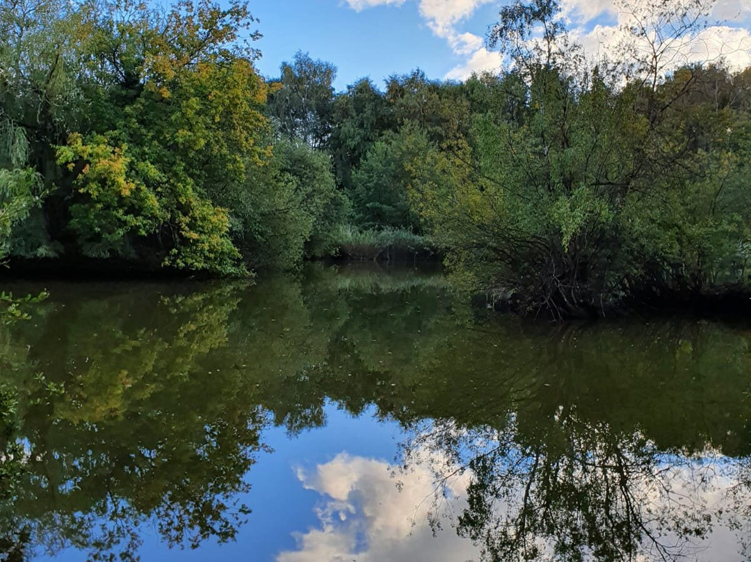 Basingstoke Canal景点图片