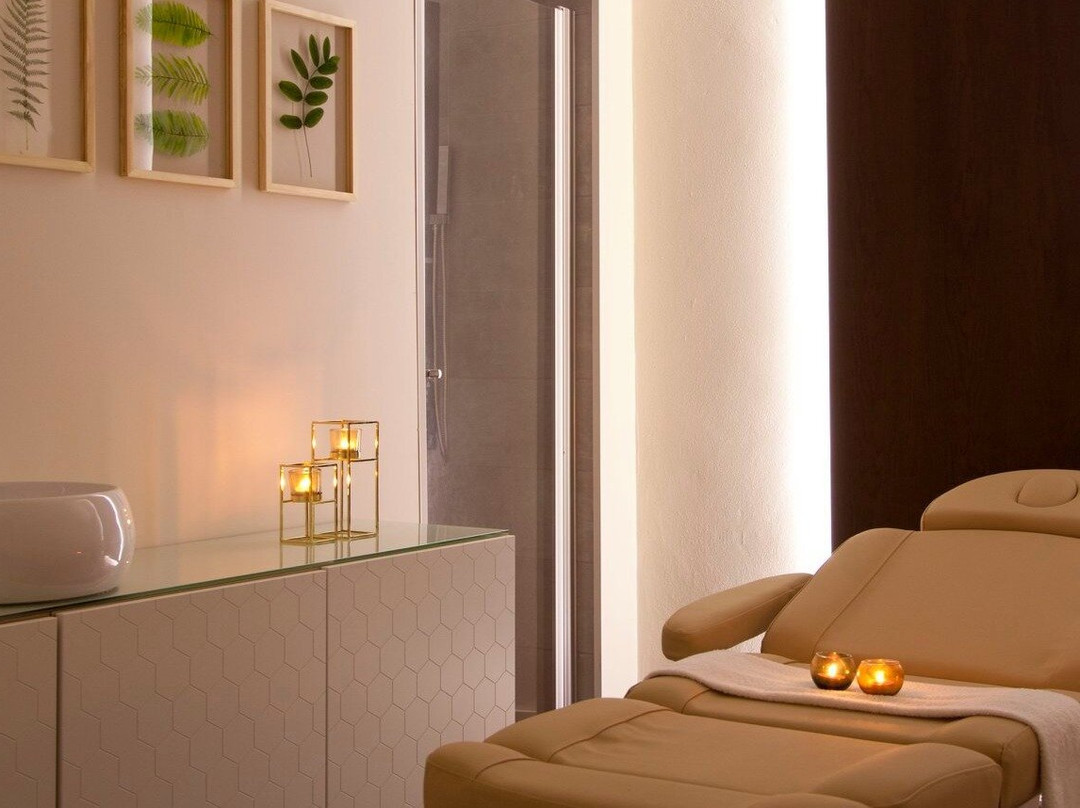 Arya Balance-Valongo必去景点