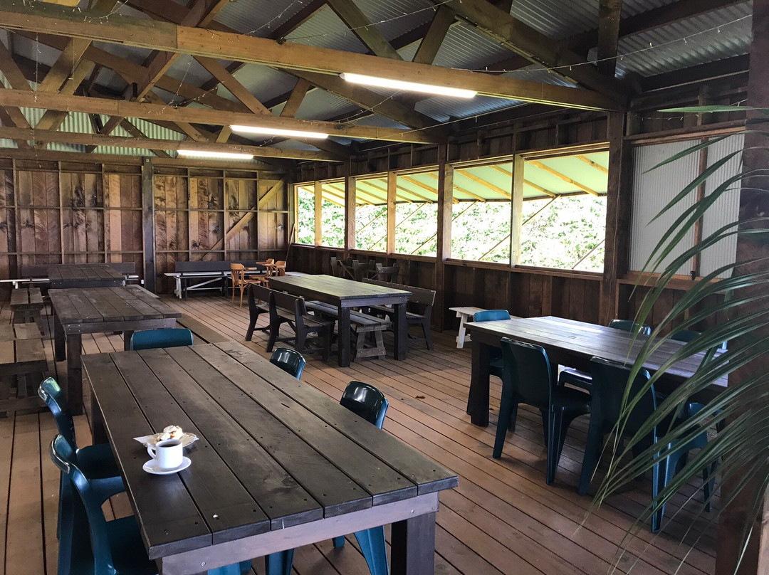 Pinetree Tours-诺福克岛必去景点