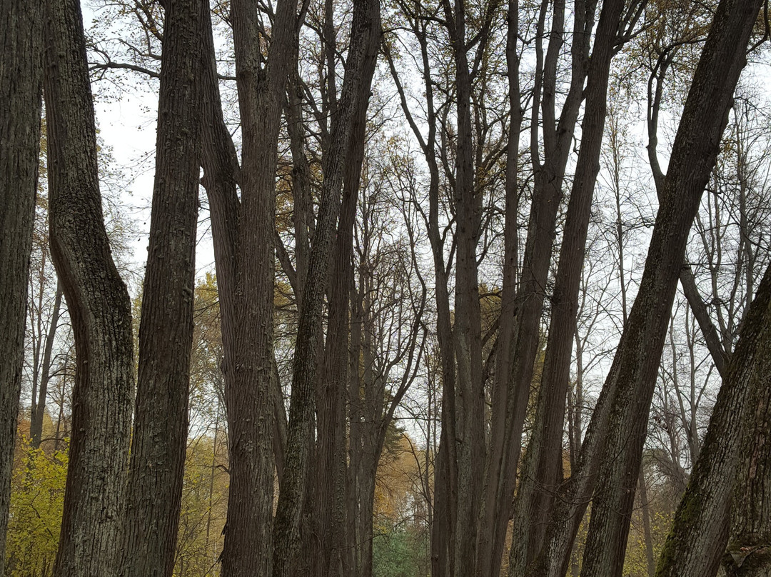 Museum-Reserve I. S. Turgenev Spasskoye-Lutovinovo-Spasskoye-Lutovinovo必去景点