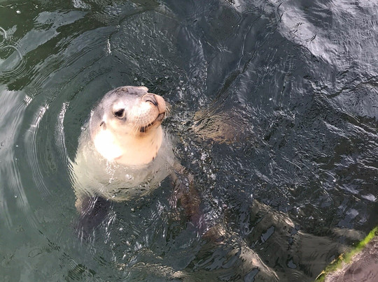 Black Jack Charters-埃斯佩兰斯必去景点