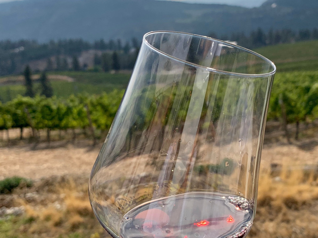 Liquidity Wines景点图片