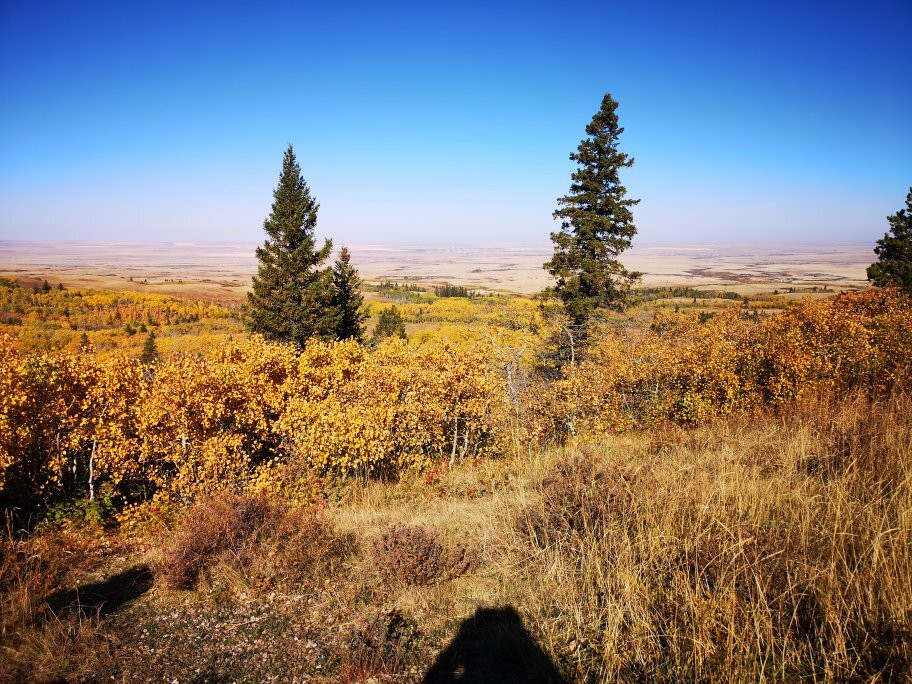 The Resort at Cypress Hills主图