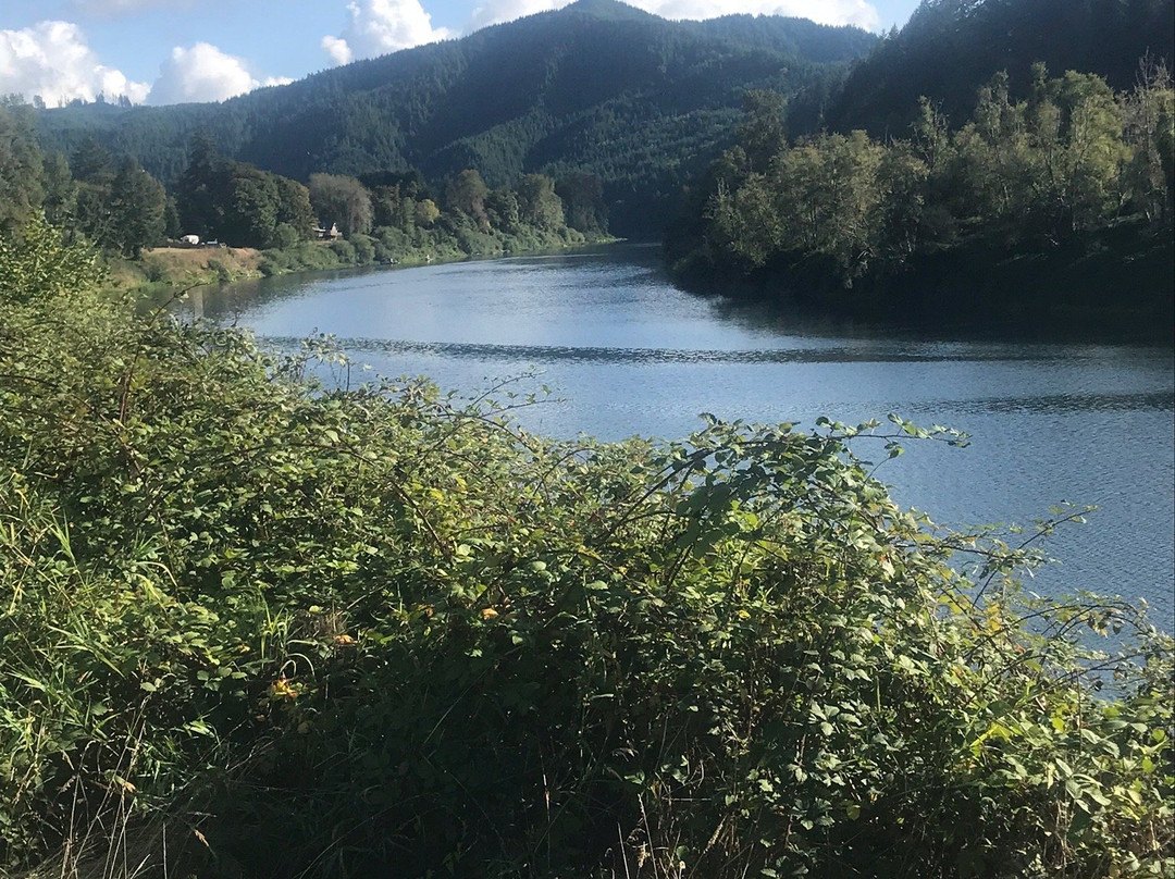 Dean Creek Elk Viewing Area景点图片