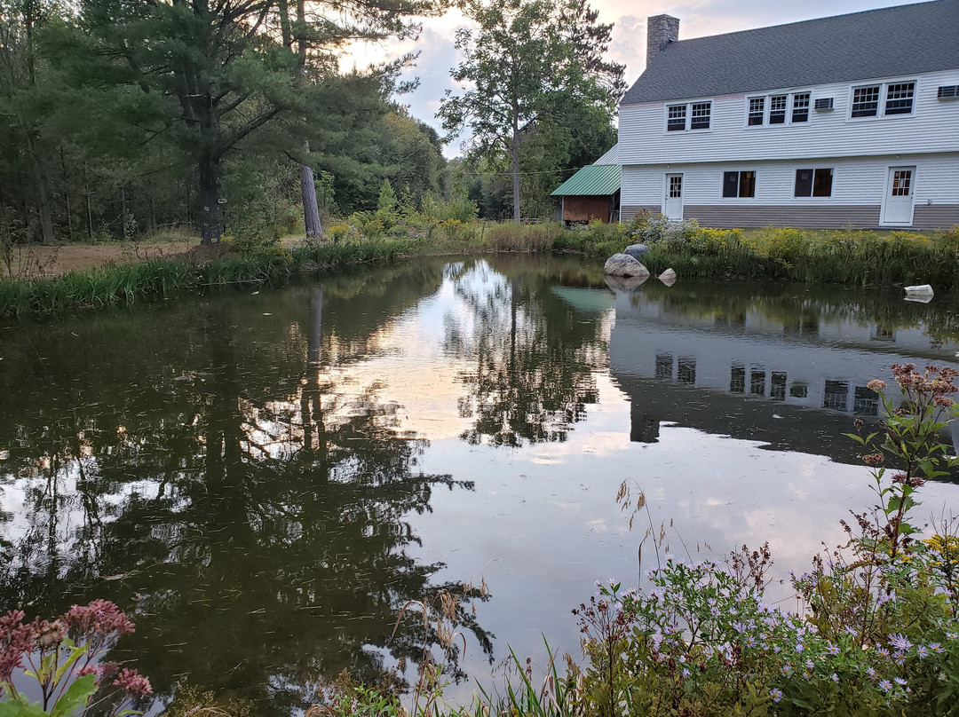 斯托尼布鲁克汽车旅馆&小屋酒店主图