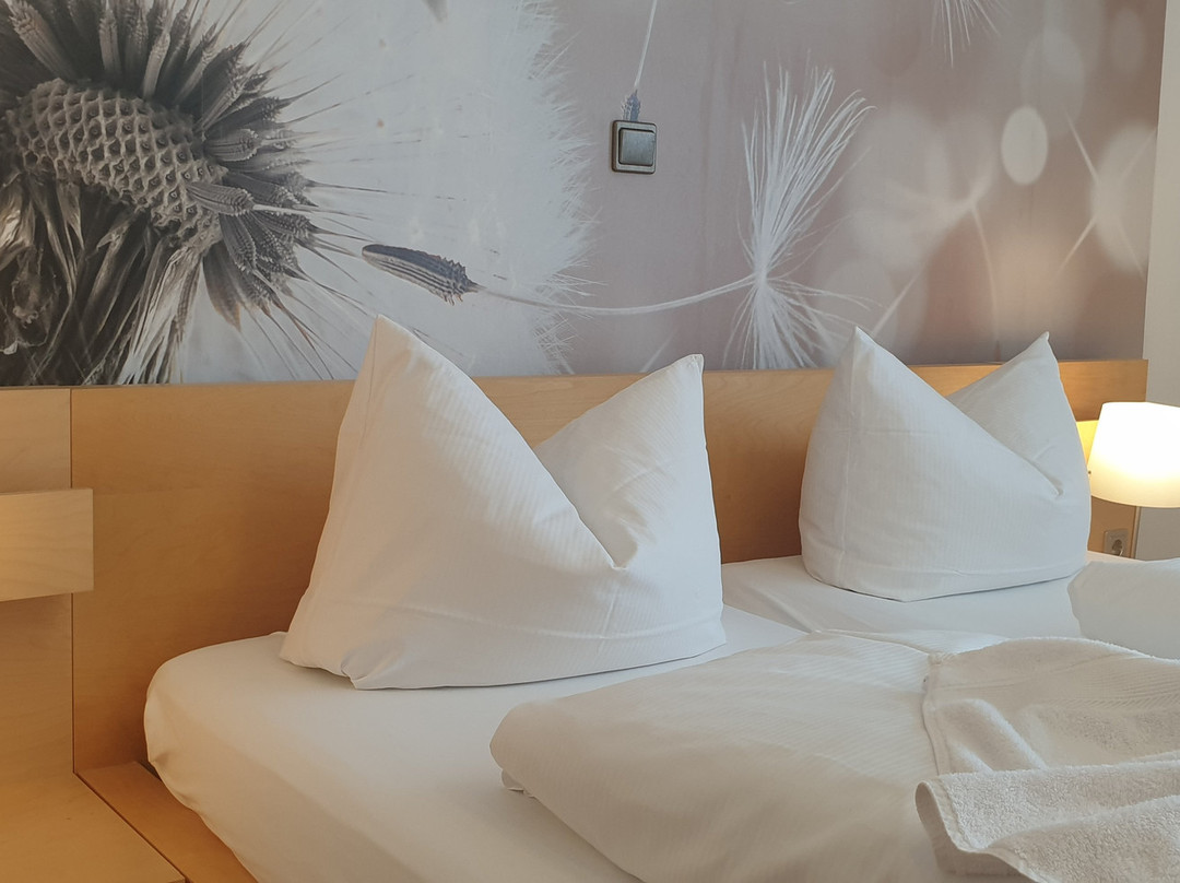 Schönenberger Hof主图