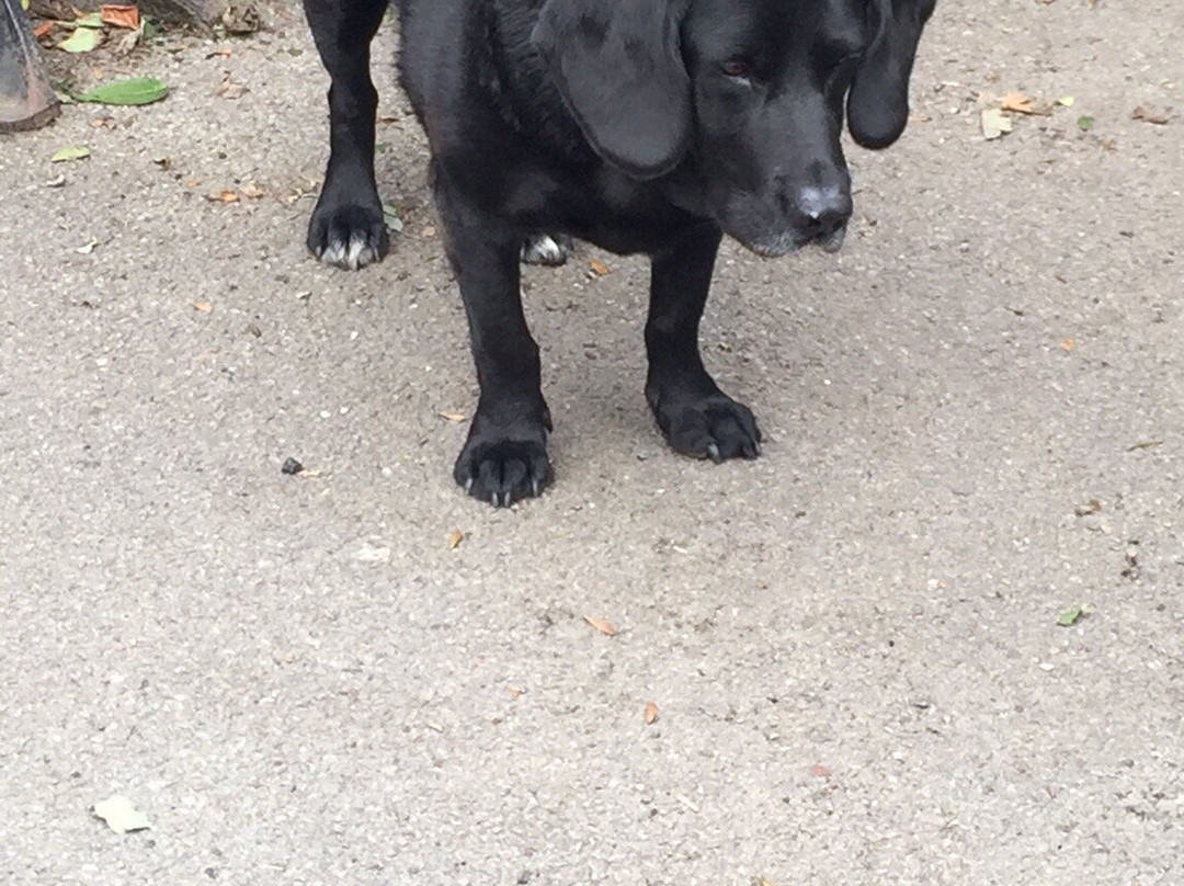 The Hayburn Wyke Inn主图