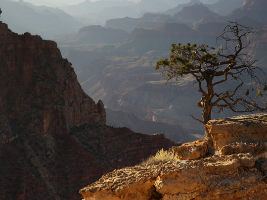 Canyon Country Tours - Grand Canyon Tours-弗拉格斯塔夫必去景点