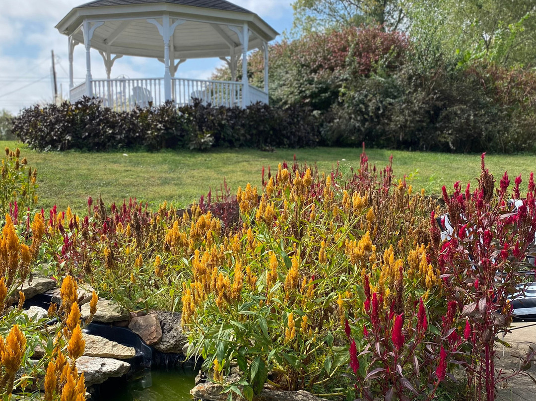 Plain & Fancy Bed & Breakfast主图