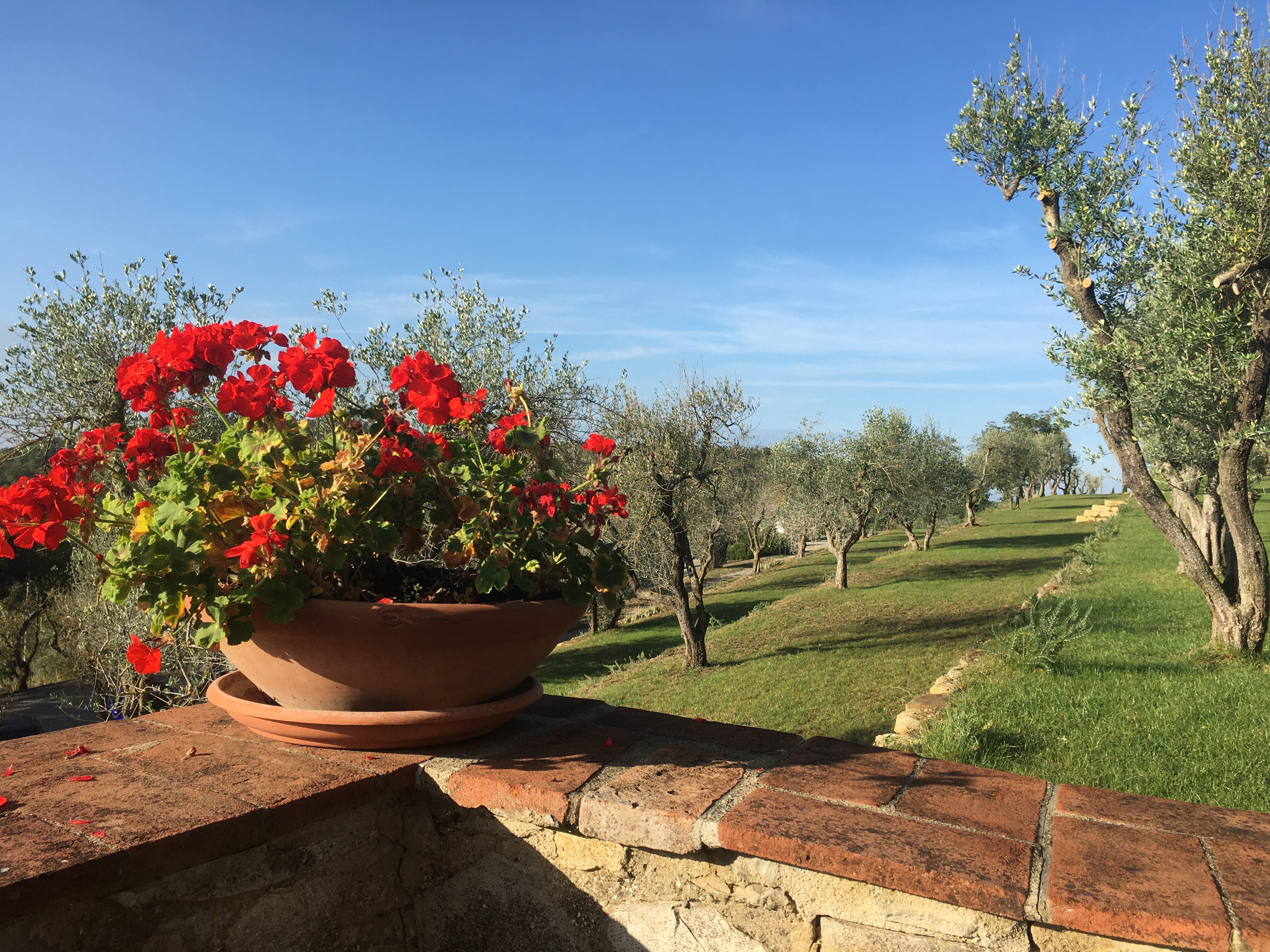 Borgo Vescine - Relais Del Chianti-餐饮