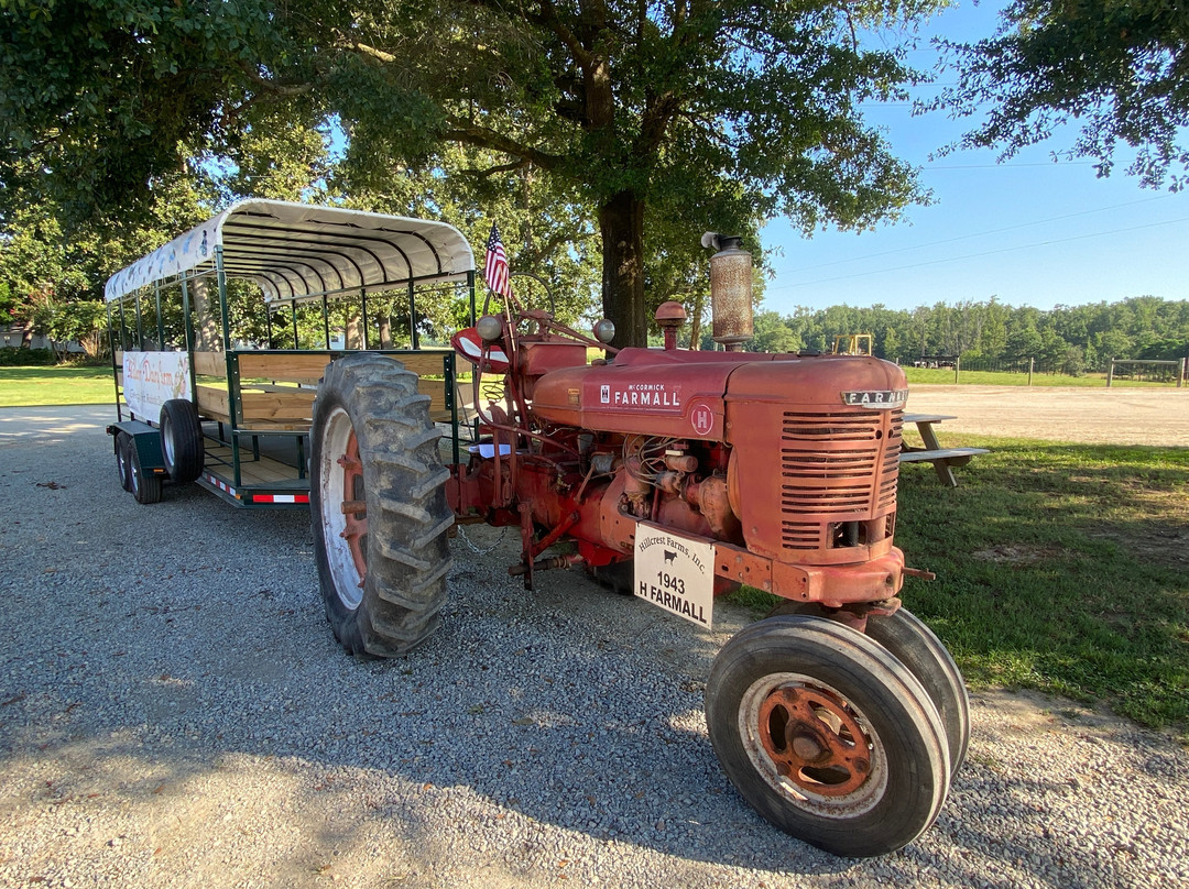 Hillcrest Farm (Dairy Tours)-Dearing必去景点