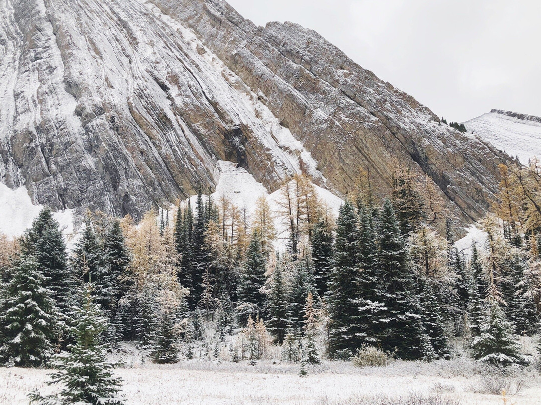 Chester Lake-Peter Lougheed Provincial Park必去景点