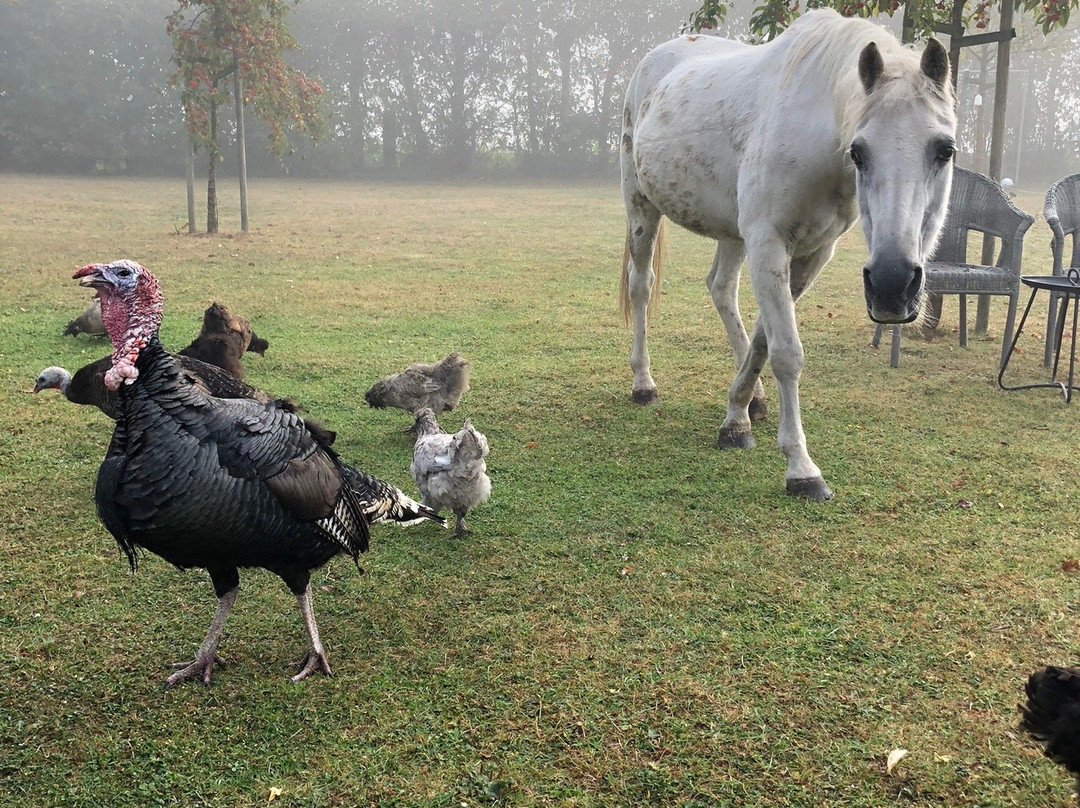 Logeren bij KA主图