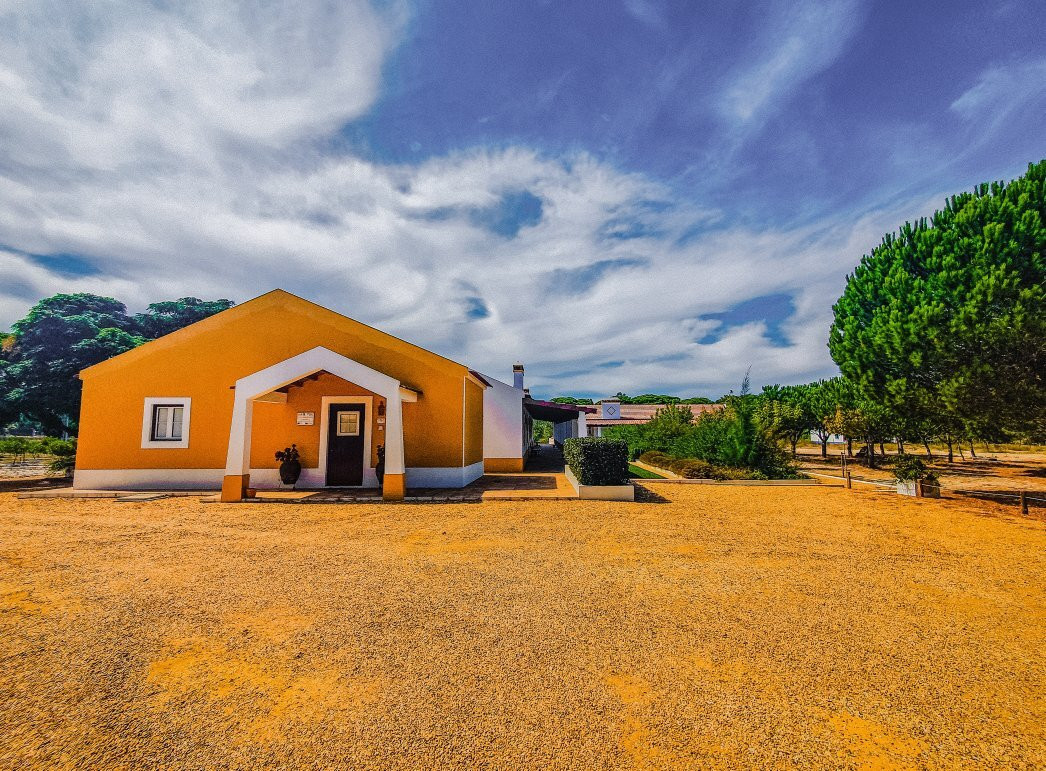 Monte do Brejinho de Agua
