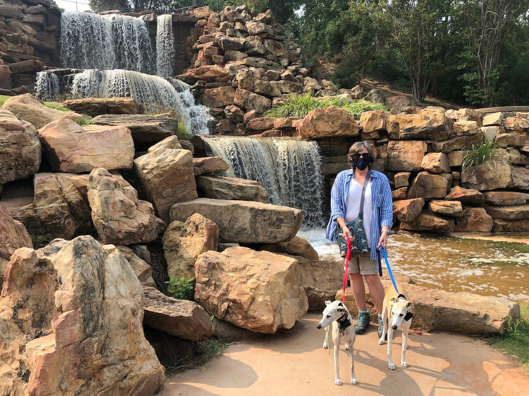 The Falls in Lucy Park景点图片