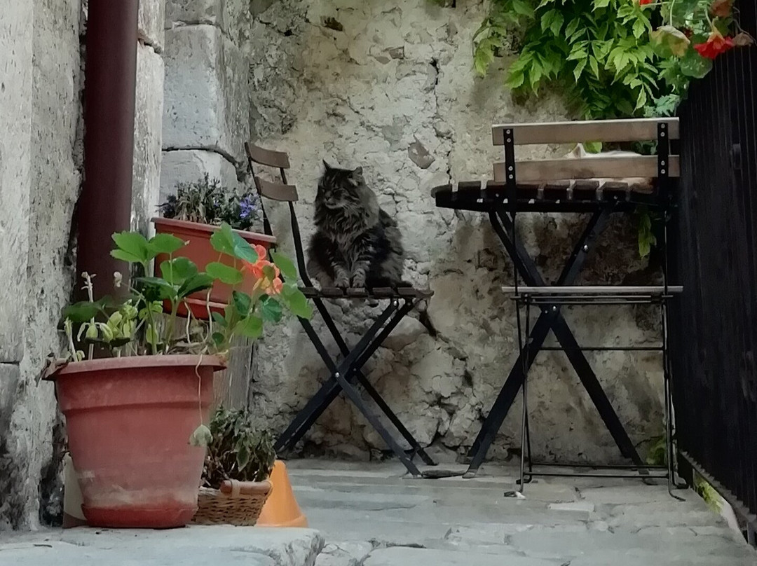Fule Residenza di Campagna主图