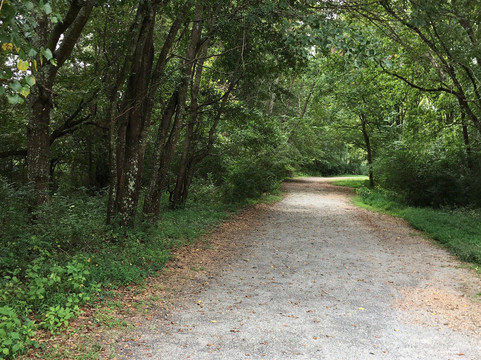 Chattahoochee Pointe Park-苏万尼必去景点