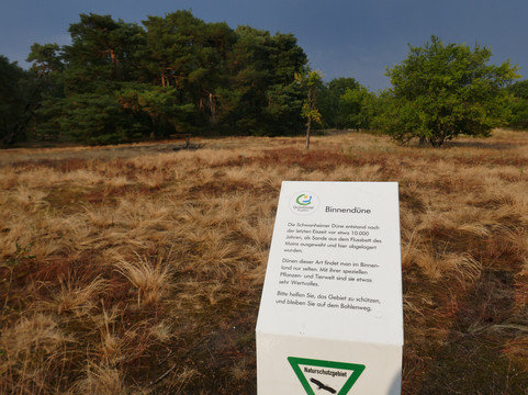 Schwanheimer Düne-法兰克福必去景点