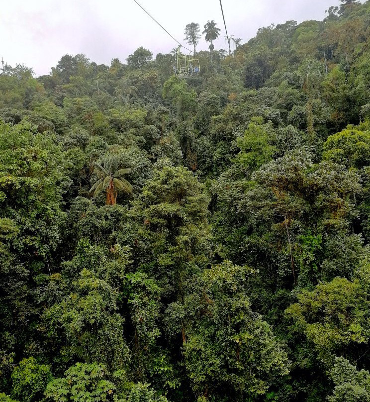 Tarabita y Santuario de Cascadas Mindo-明多必去景点
