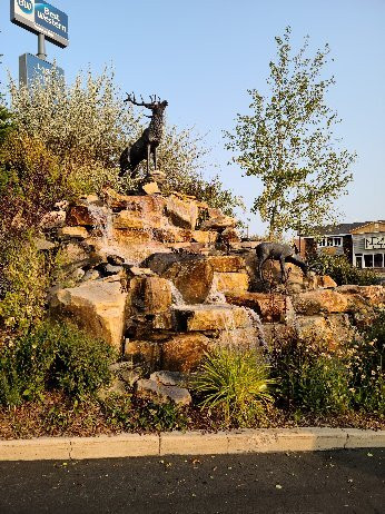 Best Western Dunmar Inn主图