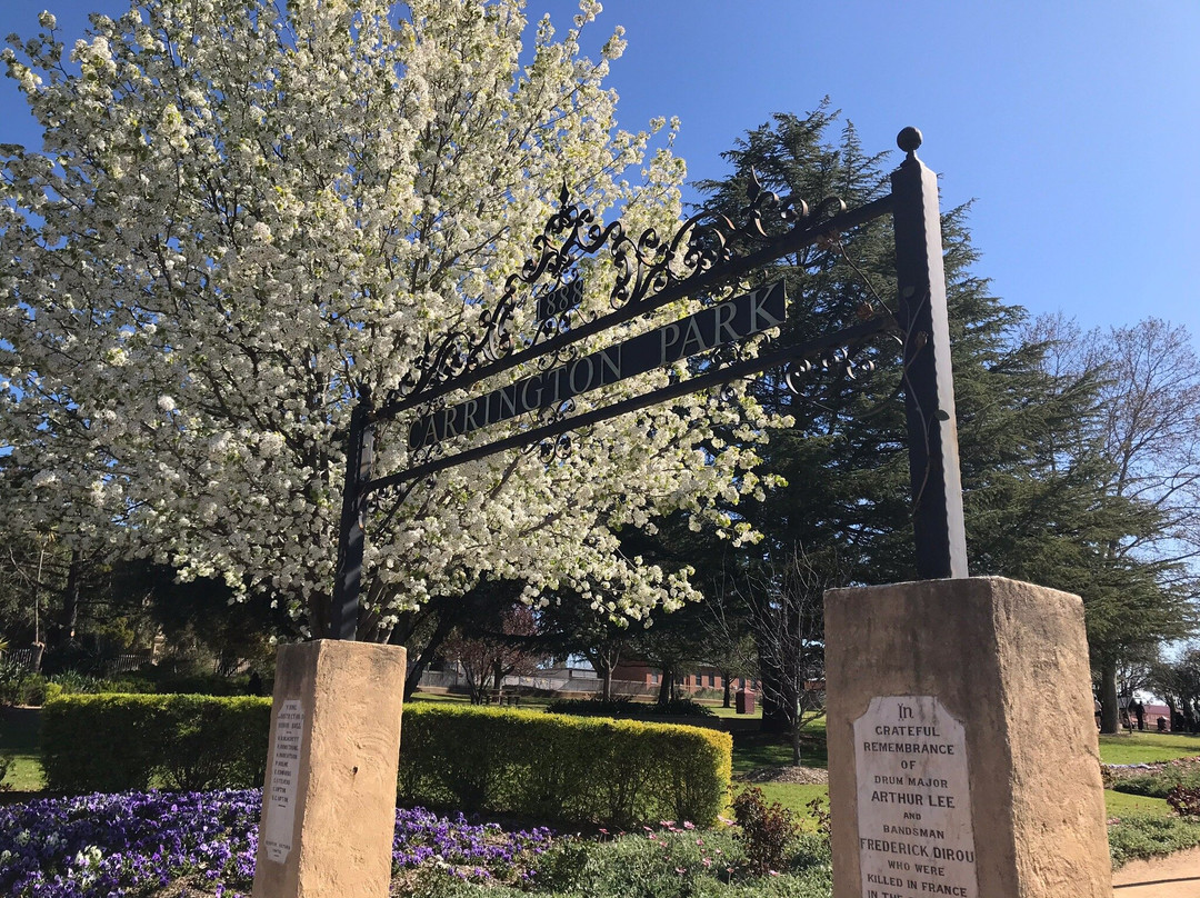 Carrington Park-Young必去景点