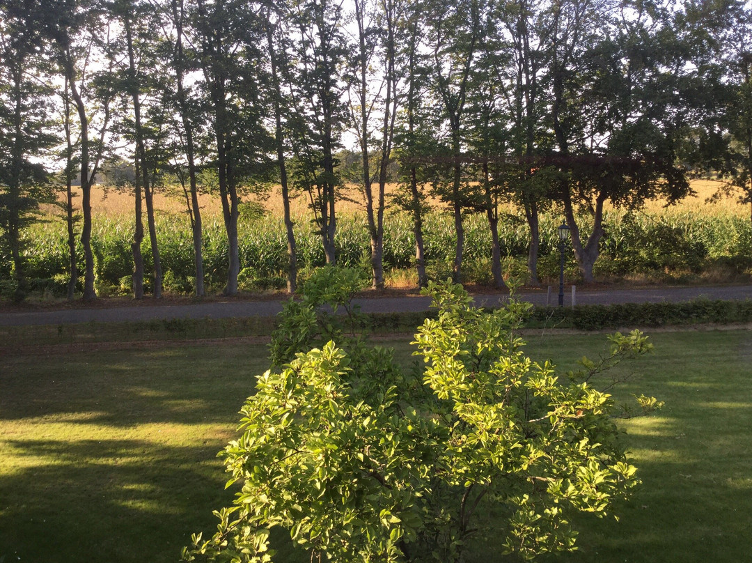 Landhotel De Greune Weide主图