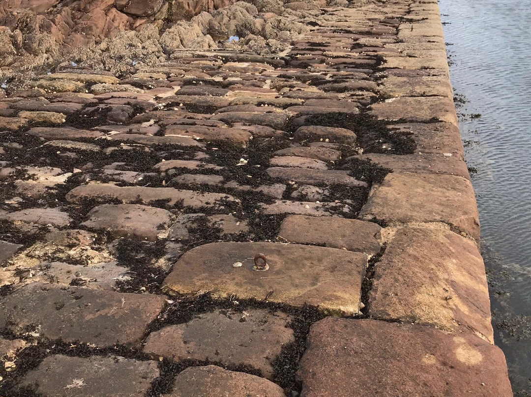 Tarbat Ness Lighthouse景点图片