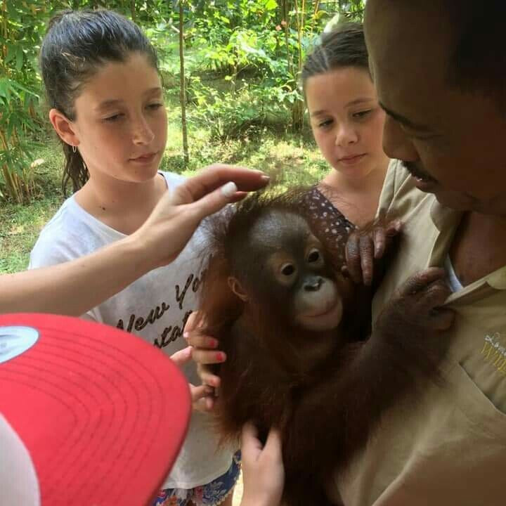 Lombok Wildlife Park-Tanjung必去景点