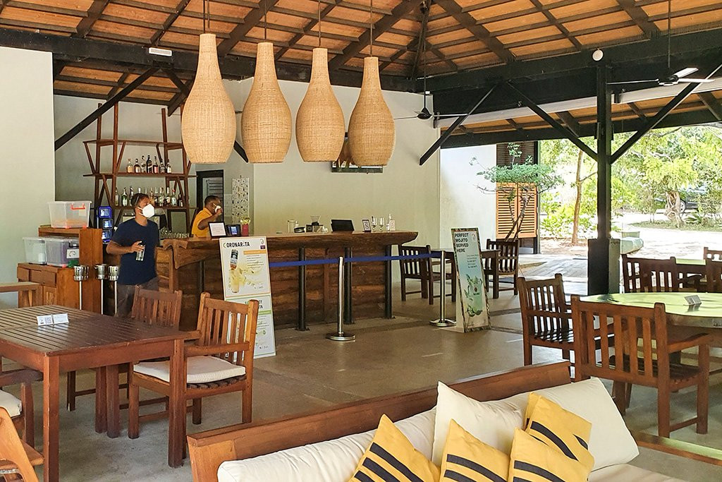 查亚野生亚拉主图