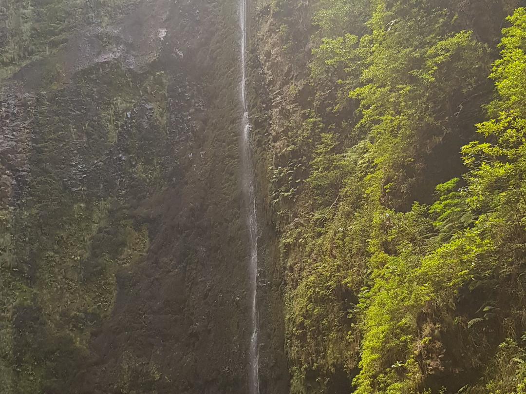 Pearl of the Atlantic Madeira-沙尔必去景点
