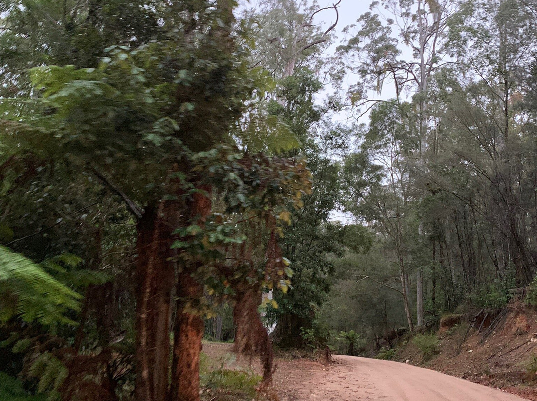 Callide Dam-Biloela必去景点
