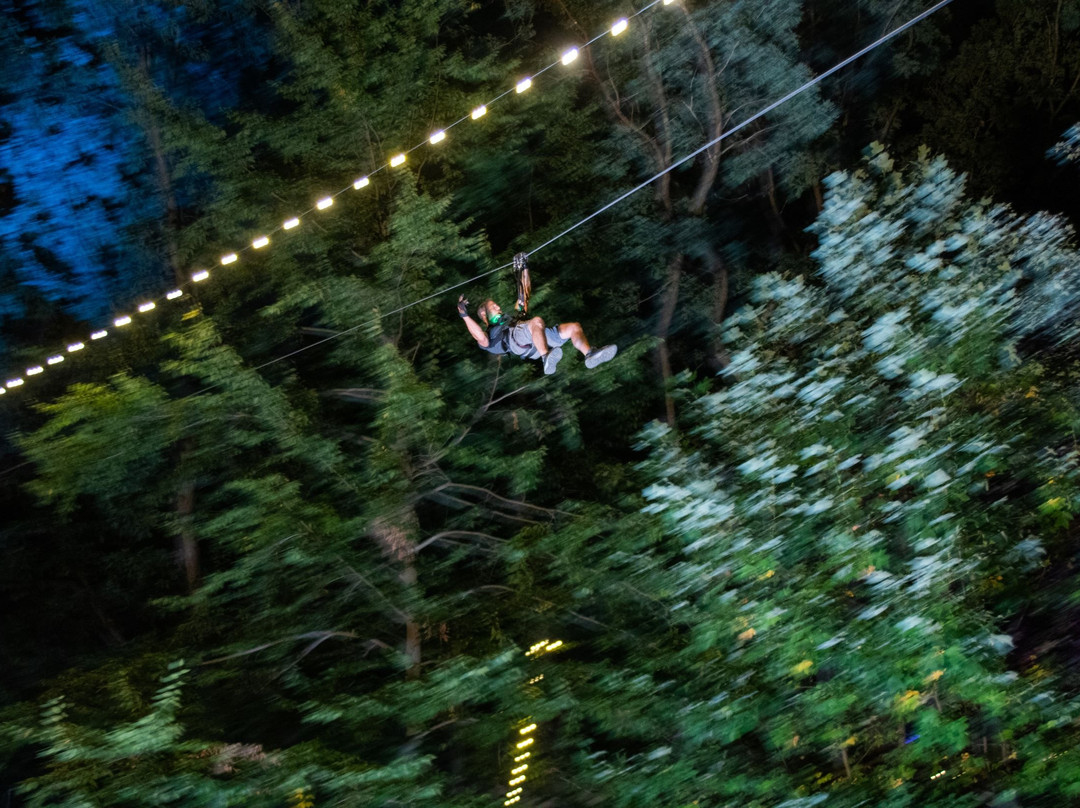 The Adventure Park at Storrs-斯托斯必去景点