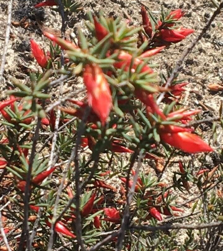 Billyho Bushwalk-Kaniva必去景点