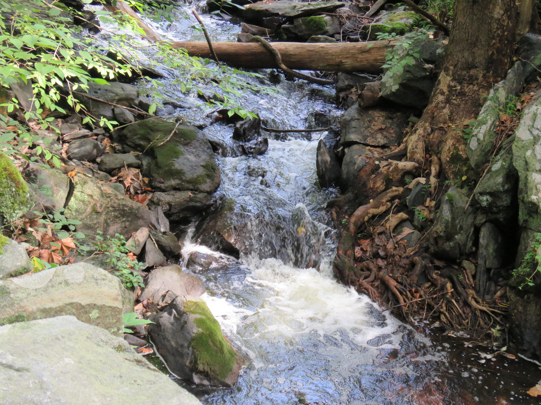 Rockefeller State Park Preserve景点图片