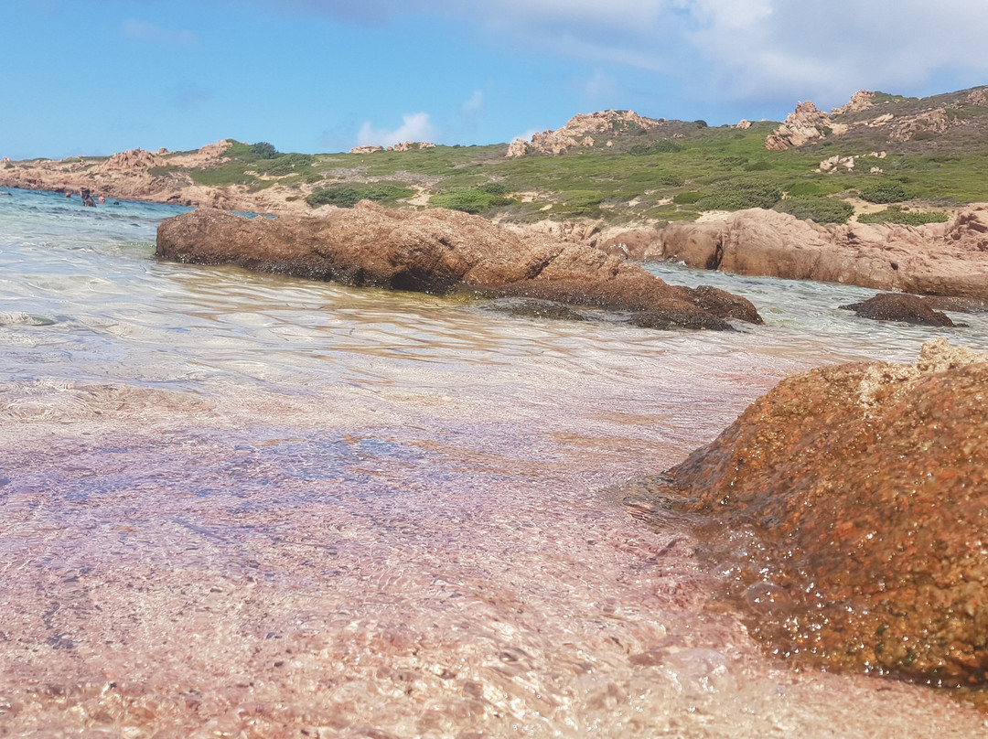 Spiaggia Cala Sarraina-Trinita d'Agultu e Vignola必去景点