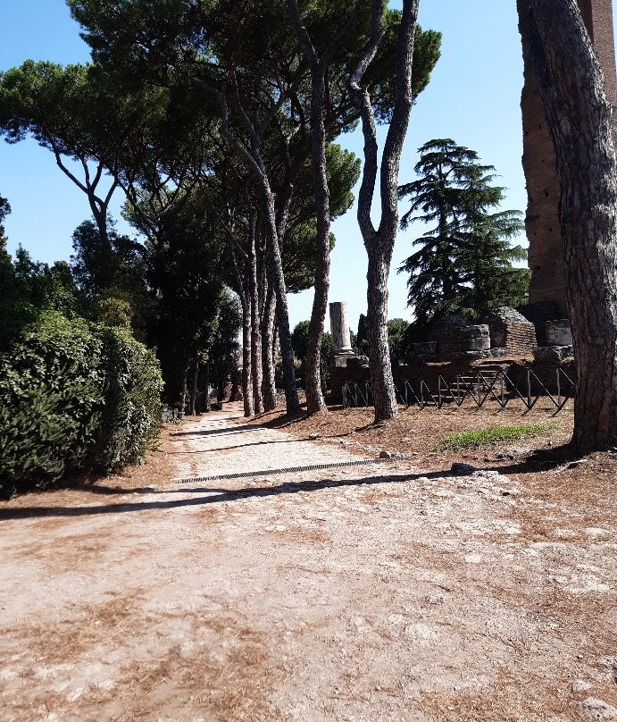 Skip the Line - Colosseum, Roman Forum, and Palatine Hill Tour景点图片