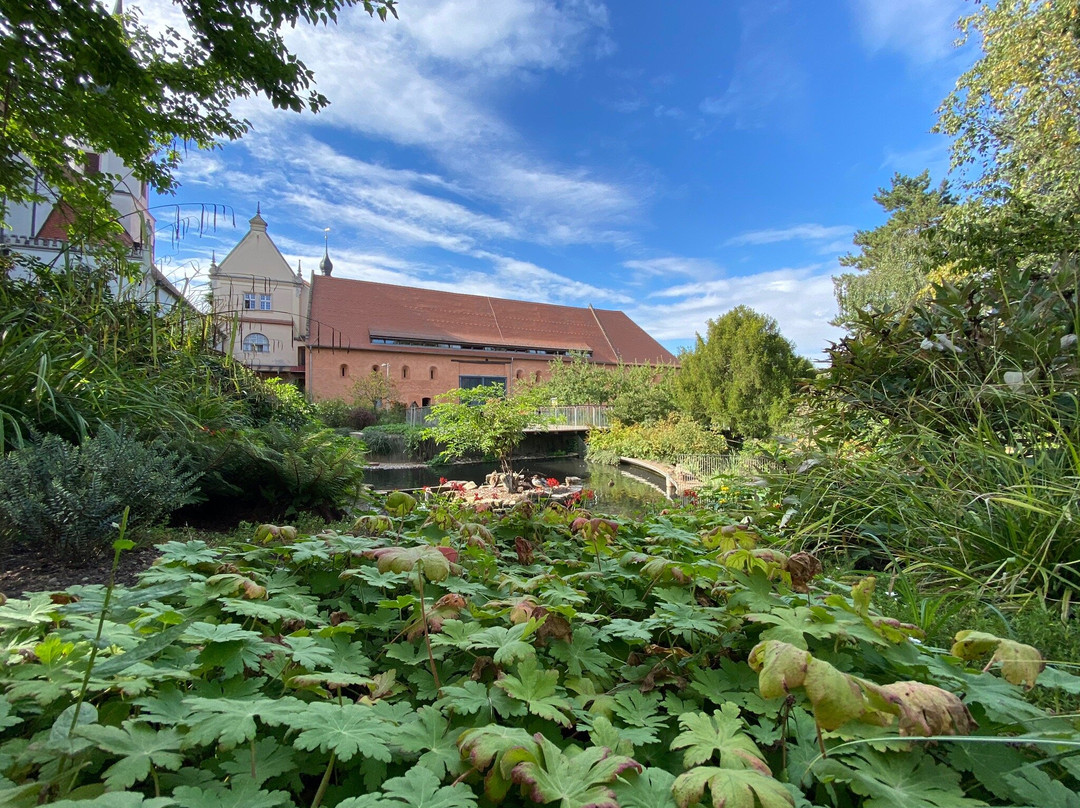Tierpark & Kloster Riesa-Riesa必去景点