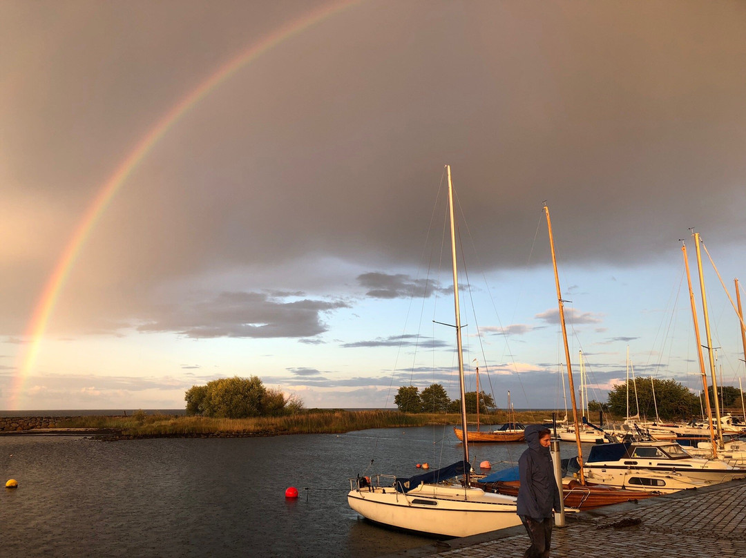 Kivik Harbour-Kivik必去景点
